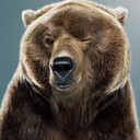 UnrulyBear's profile picture