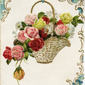 Debra_Becker's profile picture