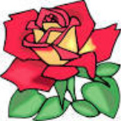rosies-treasures's profile picture