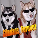 Siberians_Forever's profile picture