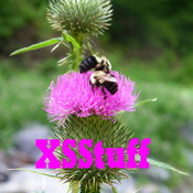 XSStuff's profile picture
