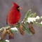 BaysideBetty's profile picture