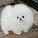 Quality2sell's profile picture