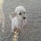 vistackandpet's profile picture
