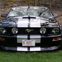 mustang_lvr's profile picture