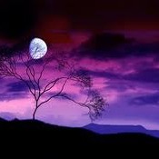 love_spell_magic's profile picture
