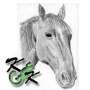 GWachtelArtist's profile picture