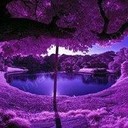 Accessory_girl's profile picture