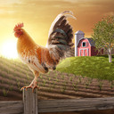 chicken_Hill's profile picture