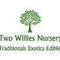 TwoWilliesNursery's profile picture