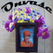 Onvase's profile picture