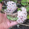 tuntunjao's profile picture