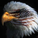 Flying_Eagle_Coin's profile picture