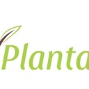 plantarium's profile picture