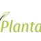 plantarium's profile picture