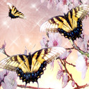 LadyButterfly's profile picture