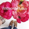 wildwonderfulbuy's profile picture