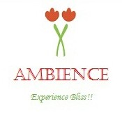 Ambience's profile picture