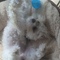 iluvsoccer0925's profile picture