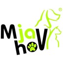 mjavhov's profile picture