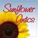 SunflowerAntics's profile picture