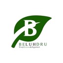 BELUHDRU's profile picture