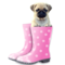 tshirtfun's profile picture