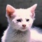rich636's profile picture