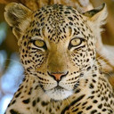 TrulyR's profile picture