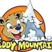 Teddy_Mountain_NY's profile picture