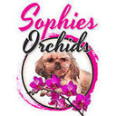 Sophiesorchids's profile picture