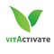vitactivate's profile picture