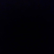 Secondhandeverything's profile picture
