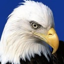 MattM826's profile picture