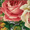 Best_Cosmetics_Shop's profile picture
