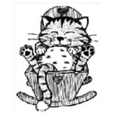CatsCradleRescue's profile picture