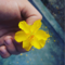 royhappy's profile picture