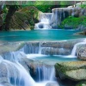 Personal_Health's profile picture