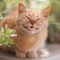 SmilingCatCompany's profile picture