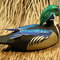 vt_honker's profile picture