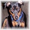 RedBirdSewing's profile picture
