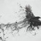 Crow_River's profile picture