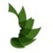 pharina's profile picture