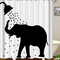 showerofcurtains's profile picture