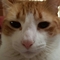 knipp4la's profile picture
