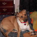 LaTerra's profile picture