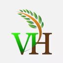 vives_healthy's profile picture