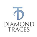 diamondtraces's profile picture