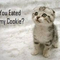 cashmerekitty's profile picture