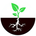 bestplant_shop's profile picture